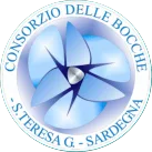 Booking Inflatable Boat Trip Corsica - Consorzio Bocche